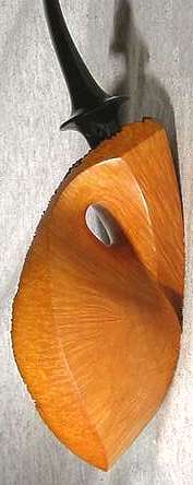 Bridged Mushroom, SPC 498, Hiro (2006)